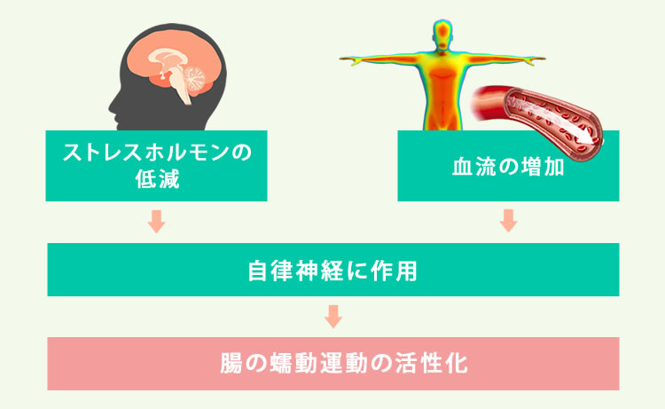 腸管蠕動運動の亢進